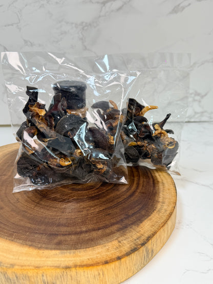 Dried Snail